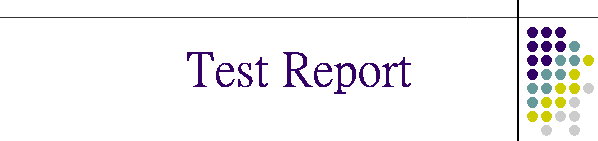 Test Report